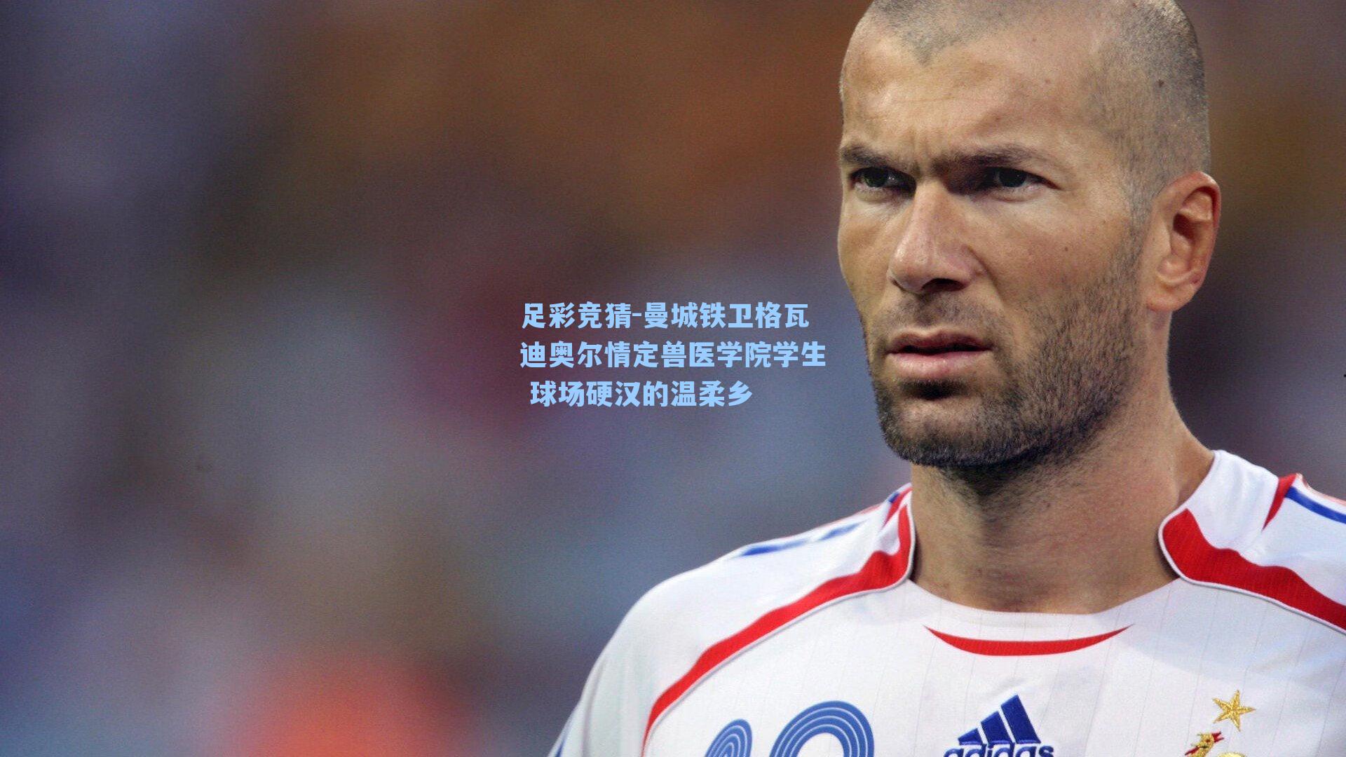 曼城铁卫格瓦迪奥尔情定兽医学院学生 球场硬汉的温柔乡