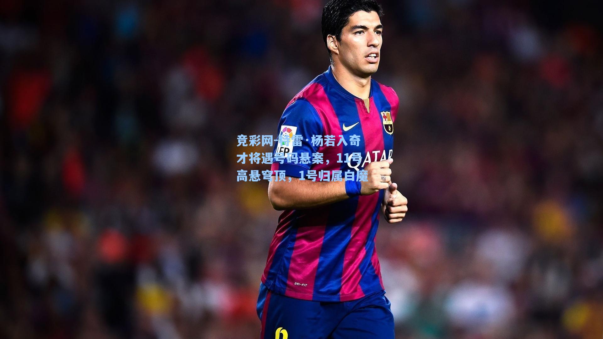 特雷·杨若入奇才将遇号码悬案，11号高悬穹顶，1号归属白魔