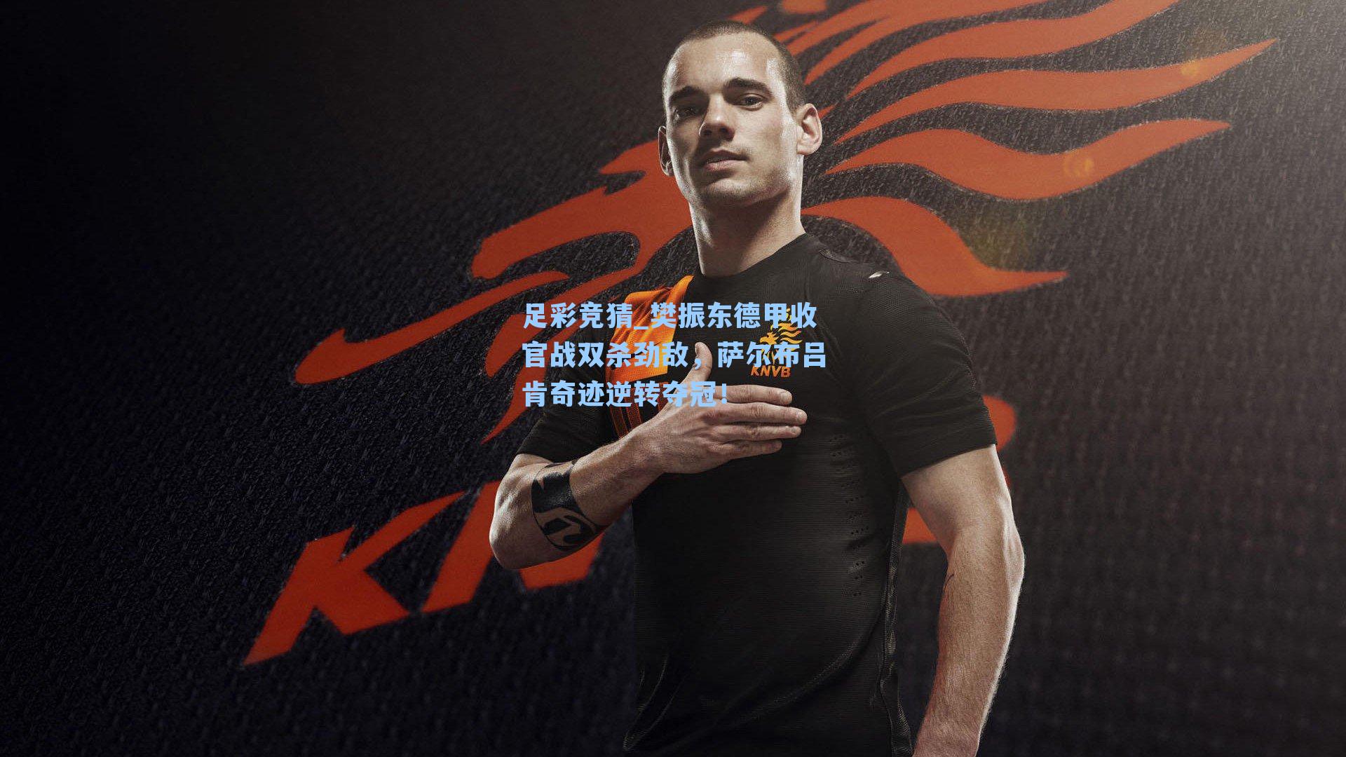 樊振东德甲收官战双杀劲敌，萨尔布吕肯奇迹逆转夺冠！